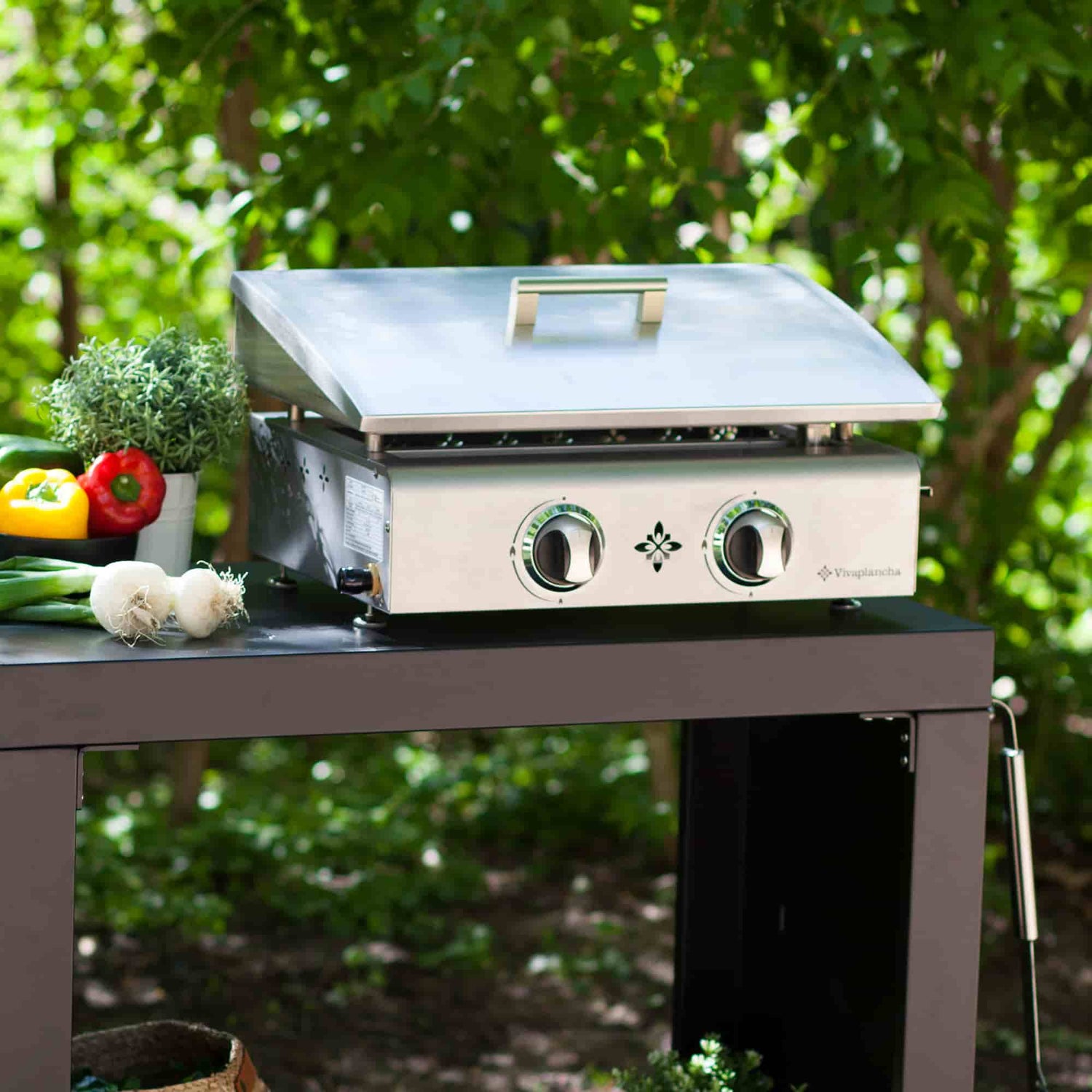 Plancha inox à deux brûleurs avec couvercle relevé, posée sur un chariot noir en extérieur, entourée de légumes frais et d’un décor végétal.